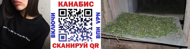 Каннабис планчик Суровикино